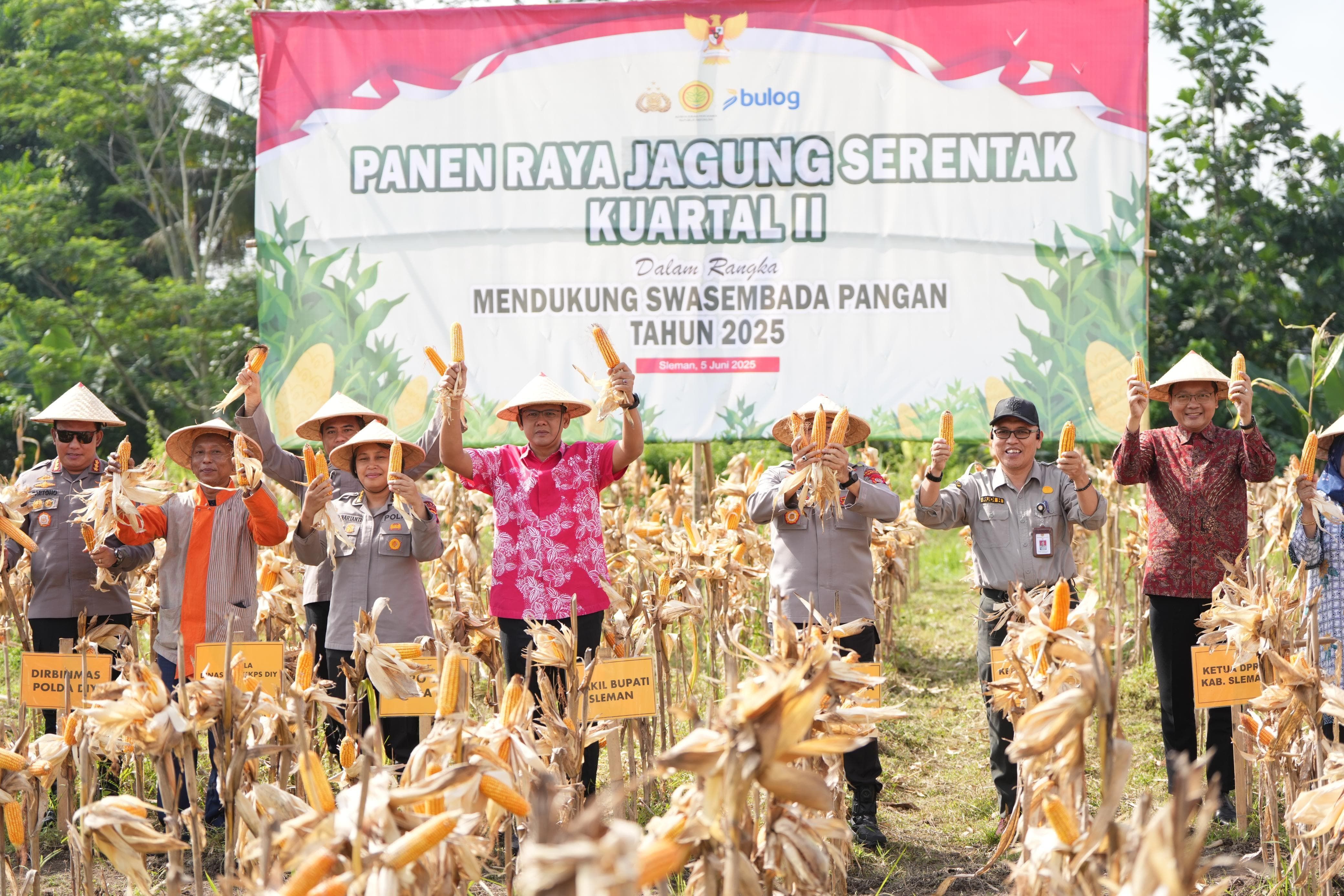 Panen Raya Jagung Serentak se-Indonesia, Wabup Sleman Danang: Siap Beri Dukungan Lahan