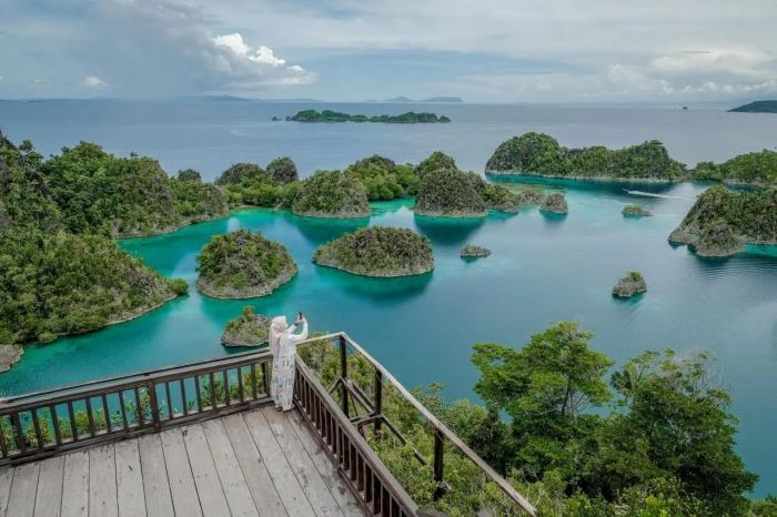 Izin 4 Perusahaan Tambang Nikel di Raja Ampat Dicabut, Ini Alasan dan Fakta Lengkapnya