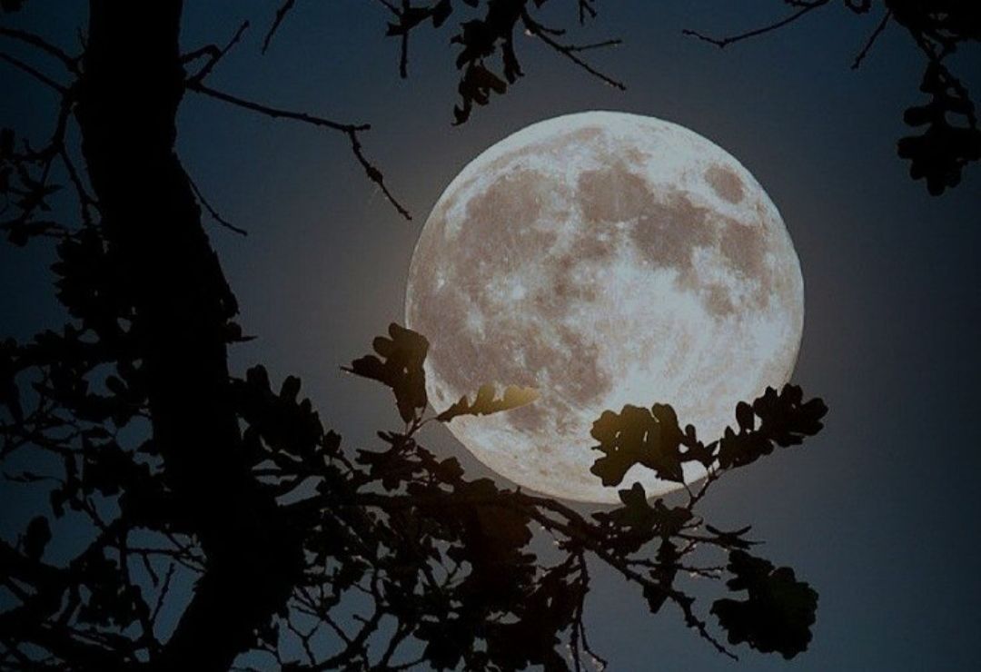 Bumi Akan Memiliki Dua Bulan pada September 2024, Ini Penjelasan dari Ilmuwan!