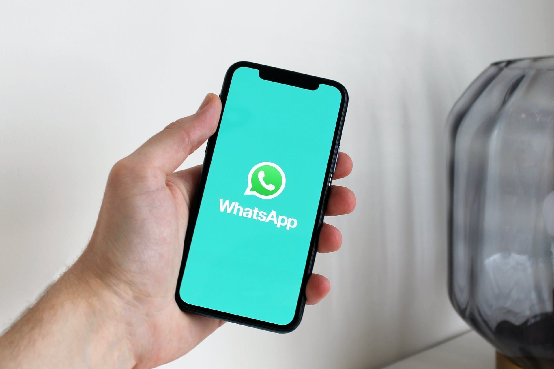 Baru Ganti HP Android ke iPhone? Ini Cara Mudah Memindahkan Data WhatsApp