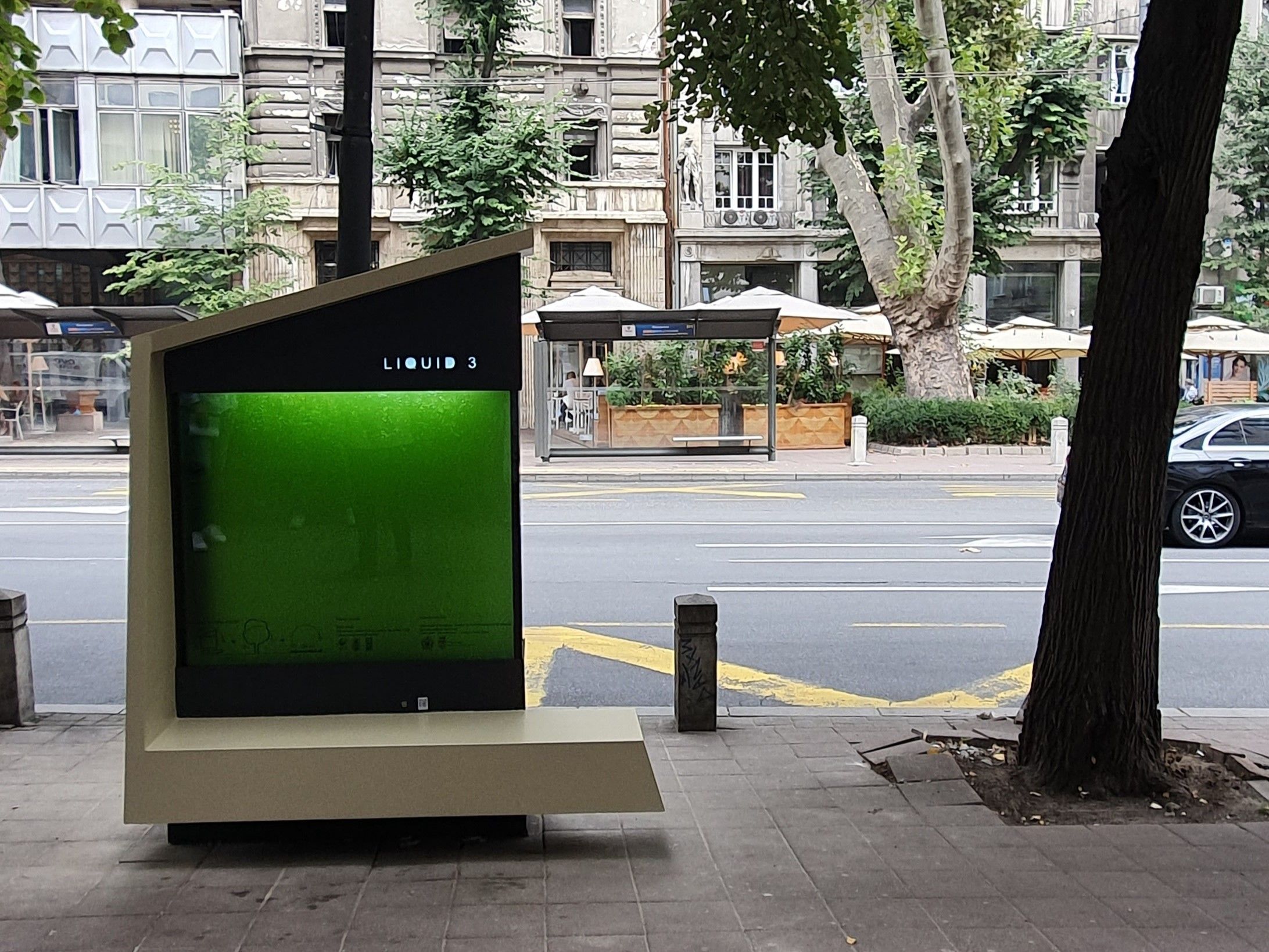 Fakta Menarik Liquid Tree di Serbia, Pohon Cair untuk Lawan Polusi yang Bisa Dijadikan Charging Station!