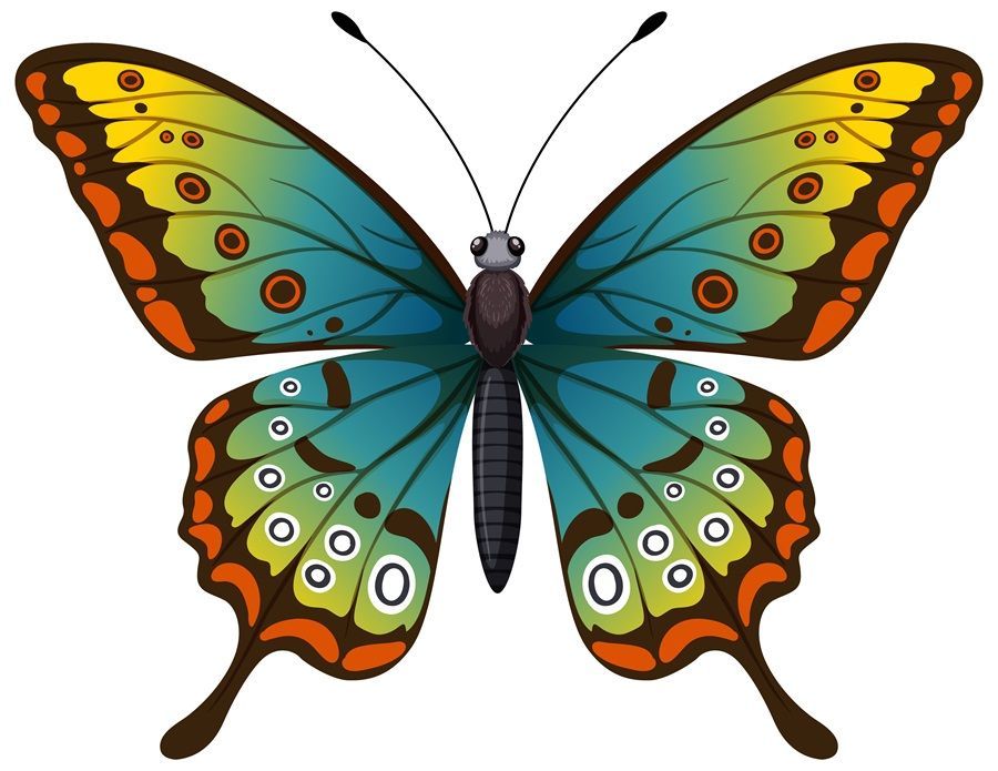 Papilio Blumei: Kupu-Kupu Sulawesi yang Menginspirasi Teknologi Sekarang dan Masa Depan