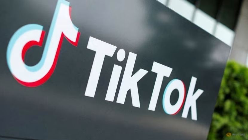 MrBeast Bersama CEO Roblox Akan Coba Beli TikTok Senilai Lebih dari Rp328 Triliun!