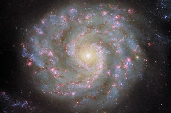 Hubble Temukan Galaksi Spiral Cantik NGC 3596, Mirip Obat Nyamuk di Langit