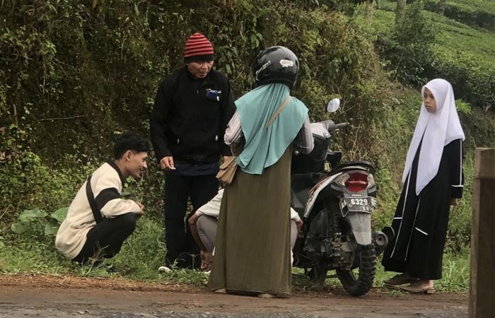 5 Langkah Tepat agar Terhindar dari Rem Blong saat Berkendara