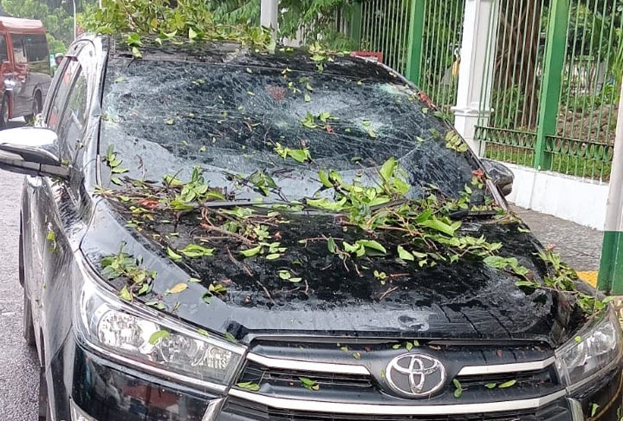 Brak! Tertimpa Pohon di Dekat Stasiun Gambir, Kaca Innova Ini Remuk