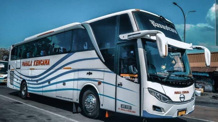 5 Perbedaan Bus SHD dan HDD yang Harus Kamu Ketahui, Busmania Wajib Tahu!