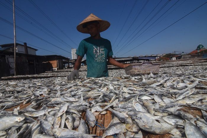 Produk Ikan Asin Berpotensi Tingkatkan Kekuatan Ekonomi, Relawan Ganjar Ajak Warga Pangandaran Lakukan Ini