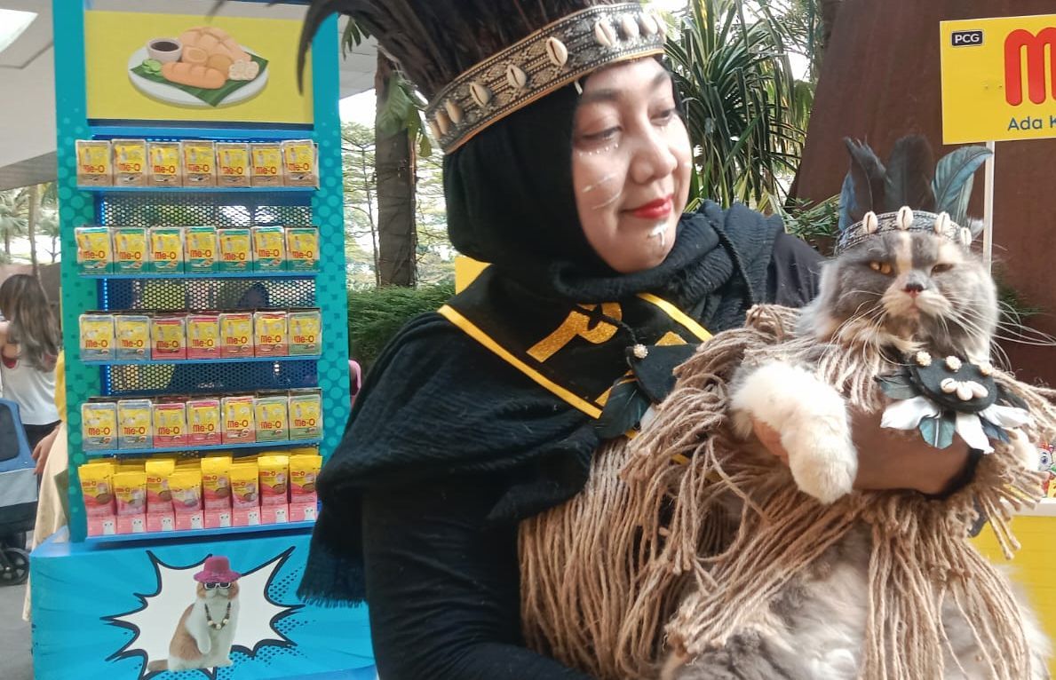 Makanan Kucing Ternyata Ada Varian Cita Rasa Indonesia, Salah Satunya  Ada Rasa Pempek