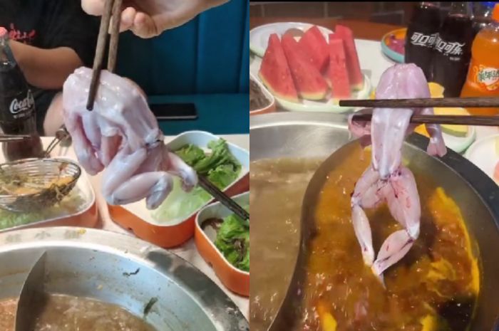 Katak Tanpa Kepala Masih Hidup saat Hendak Direbus di Panci, Bikin Geli!