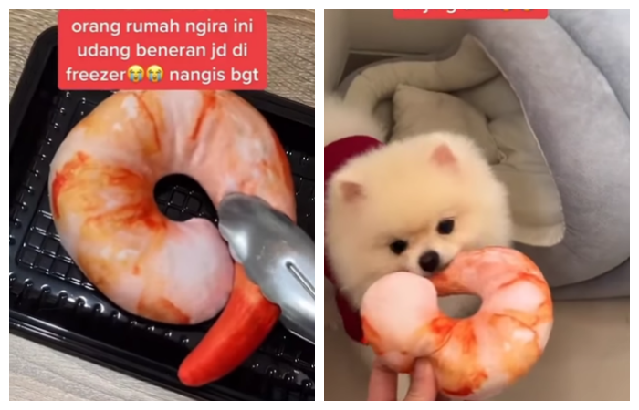 Kocaknya Udang Jumbo Mentah Dimasukin ke Kulkas, Rupanya Boneka Mainan Anjing: Untung Belum Digoreng!