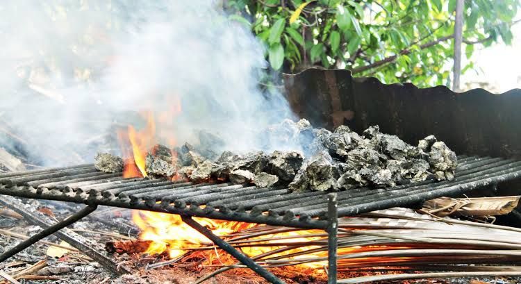 Menikmati Lezat dan Gurihnya Tiram Bakar Khas Barru Sulawesi Selatan dengan Cara Unik