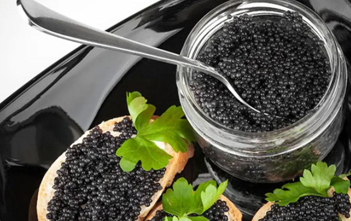Inilah Alasan Mengapa Telur Caviar Mahal, Dari Ikan Langka dan Kandungan Gizinya