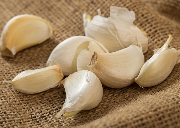 Cara Menyimpan Bawang Putih yang Benar agar Tidak Bertunas