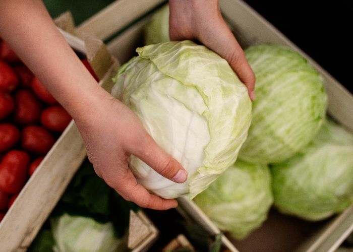 5 Manfaat Kubis untuk Kesehatan, Baik untuk Jantung dan Pencernaan