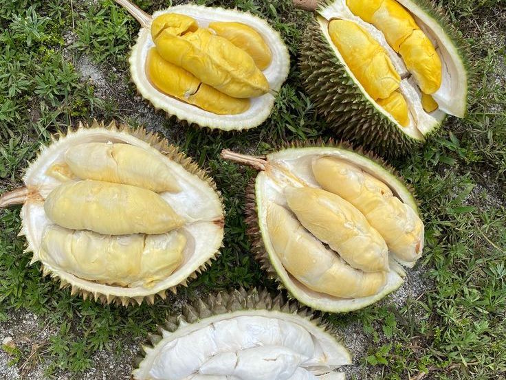 Makanan dan Minuman yang Harus Dihindari saat Mengonsumsi Buah Durian