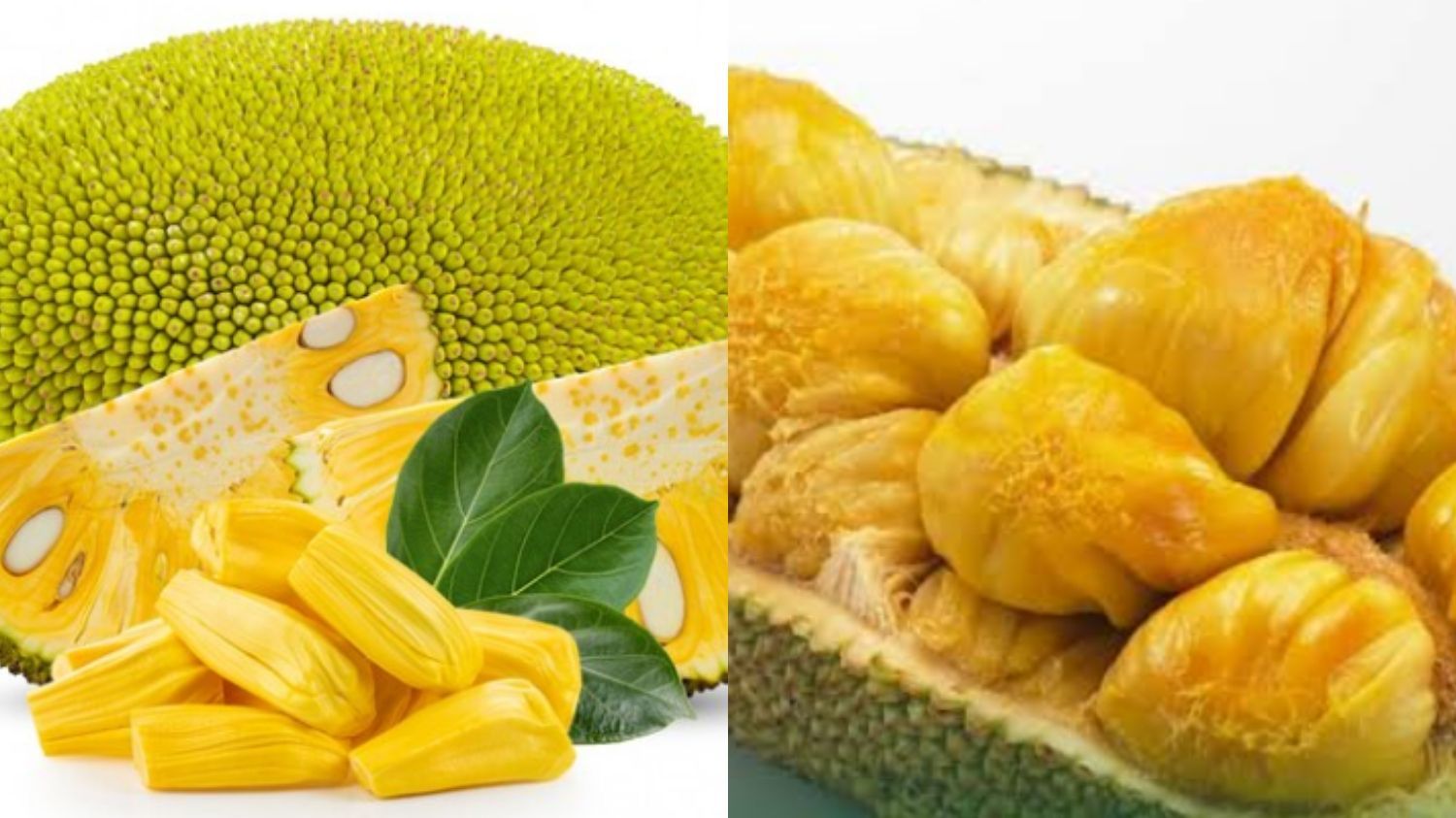Perbedaan Buah Nangka dan Buah Cempedak: Serupa tapi Tak Sama