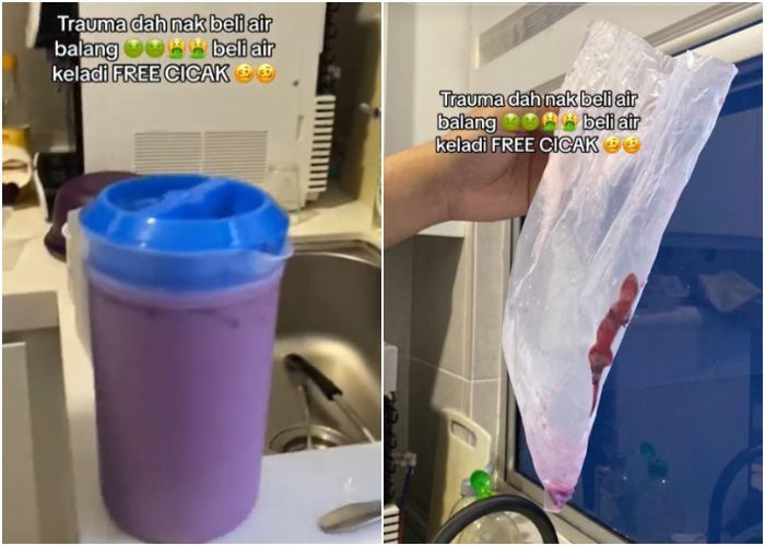 Viral Wanita Temukan Cicak Mati di Es Keladi yang Dibeli di Pinggir Jalan, padahal 3 Menit Lagi Buka Puasa
