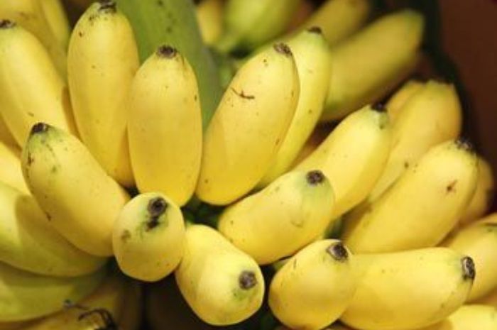 5 Olahan Pisang yang Bikin Nagih: Rekomendasi Makanan Manis dan Gurih untuk Kamu!