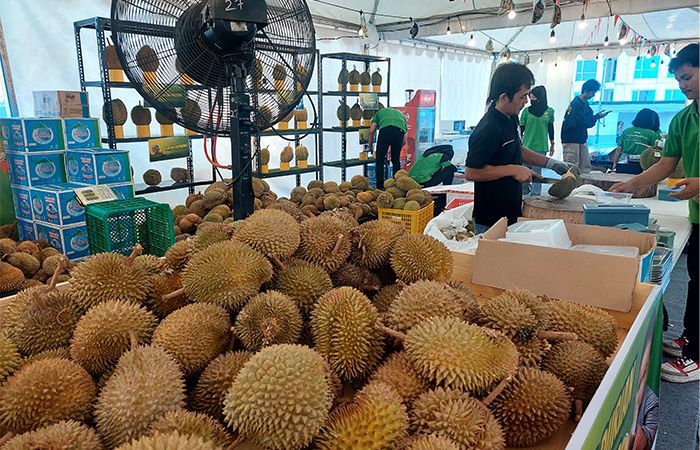 Merihakan Hari Kemerdekaan, Mal Kokas Tawarkan Makan Durian Sepuasnya Bagi Pengunjung