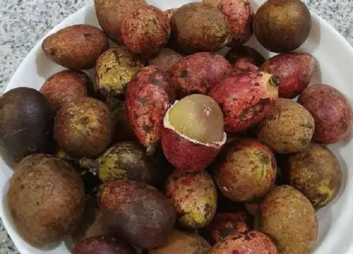 10 Buah Unik dan Langka yang Ada di Indonesia