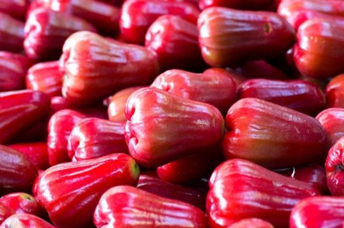 Lebih dari Sekadar Buah, Ini Manfaat Jambu Air untuk Kesehatan