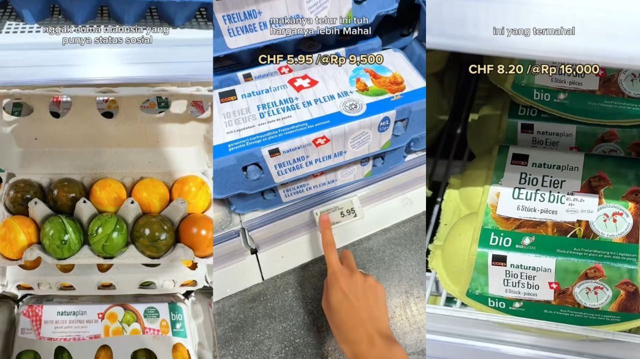 Warna-warni dan Kasta Telur Ayam di Supermarket Swiss