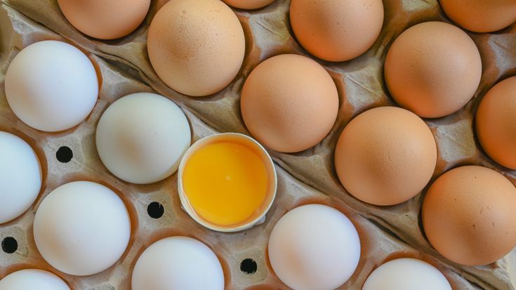 Telur Bebek vs Telur Ayam, Mana yang Lebih Sehat?