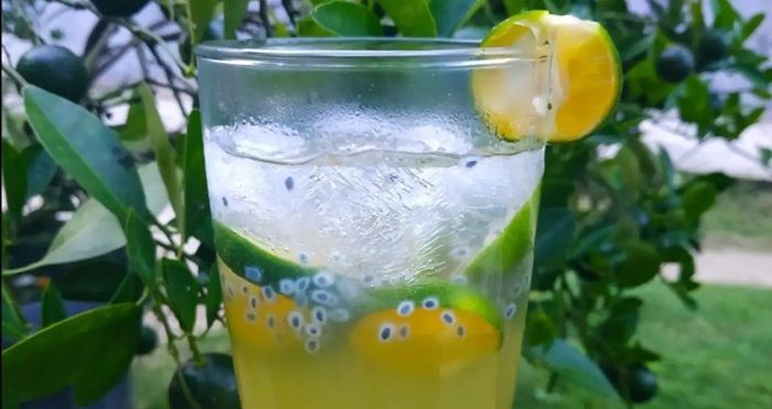 Resep Es Madu Kasturi, Minuman Segar Khas Siak yang Bikin Ketagihan