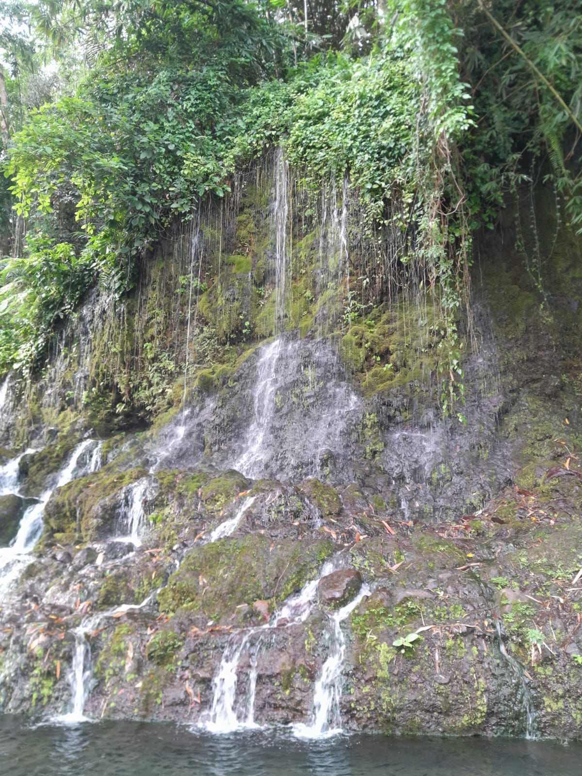 Air Terjun Pancor Kopong: Hidden Gem di Lombok, Airnya Merembes dari Akar Pohon