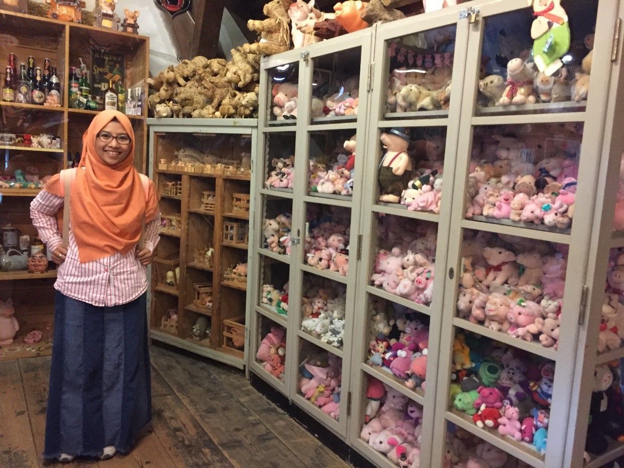 Gemes! Ada Museum Babi di Stuttgart Jerman, Unik dan Terbesar di Dunia