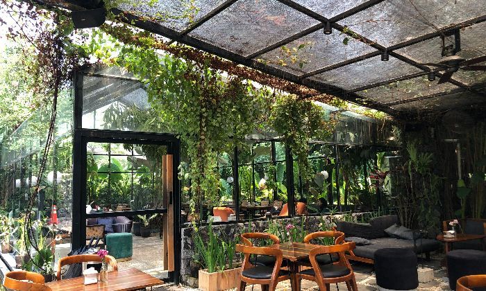 Nikmatnya Ngafe di Rumah Kaca Hoffman Lane, Tempat Nongkrong Hits di Bandar Lampung