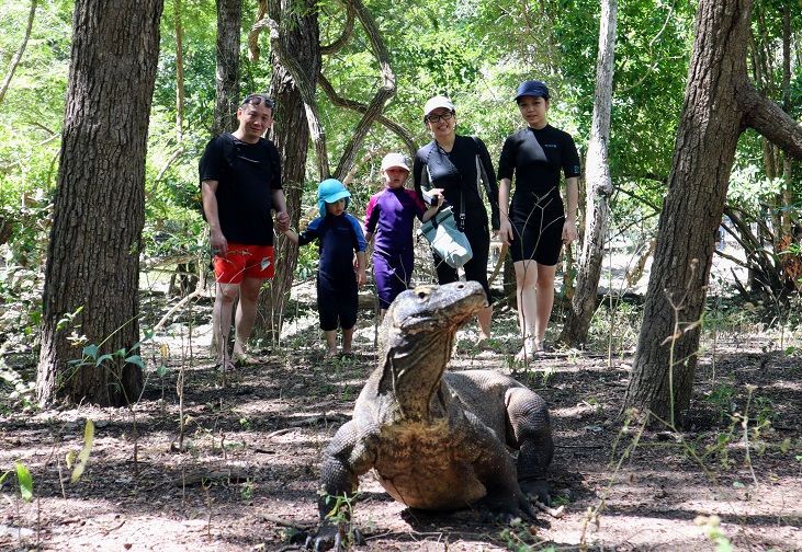 Petualangan ke Pulau Komodo, Melihat Lebih Dekat Hewan Purba 'Orah' yang Dilindungi 