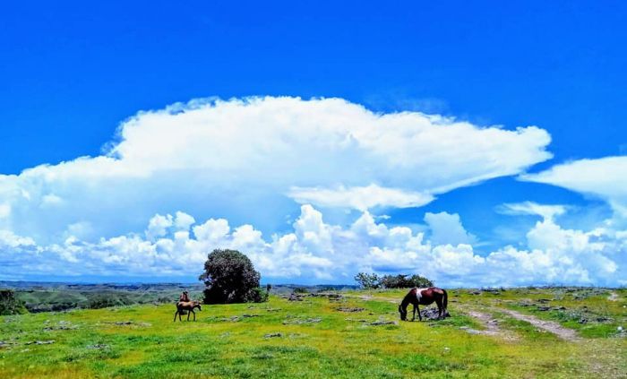 Bukit Persaudaraan Mau Hau, Pemandangannya Bikin Pengunjung Jatuh Hati 