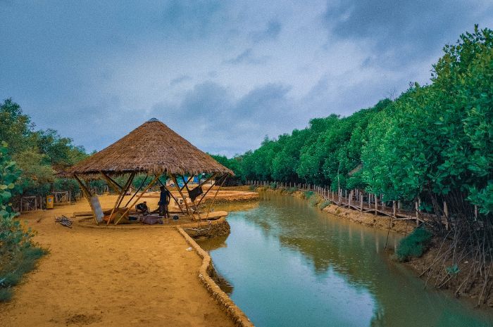Ukir Prestasi Tingkat Nasional, Wisata Mangrove Kedatim di Sumenep Punya Keindahan yang Menakjubkan