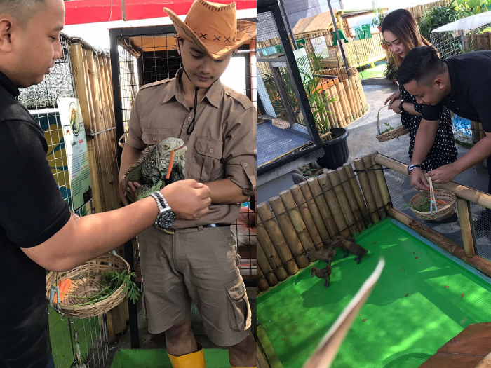Wow! Ada Kebun Binatang di Atas Hotel Mewah, Lokasi di Jember