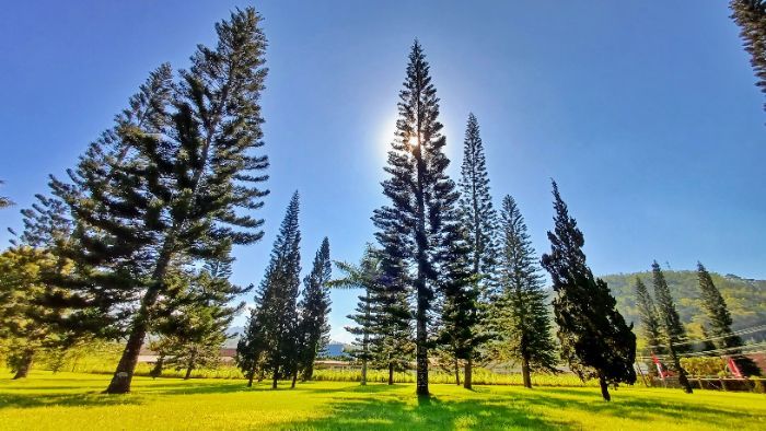 Bukan di Eropa! Kemah Tabor Mataloko, Tempat Wisata di Pulau Flores dengan View Memukau
