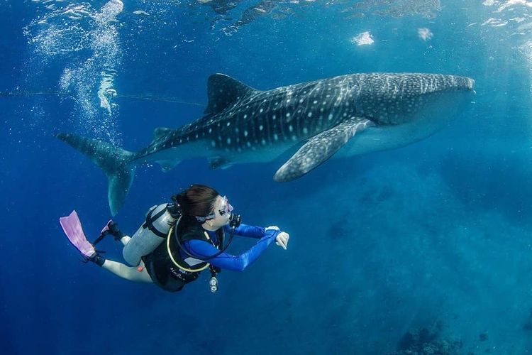 Sport Tourism Jadi Andalan Gorontalo untuk Menarik Wisatawan