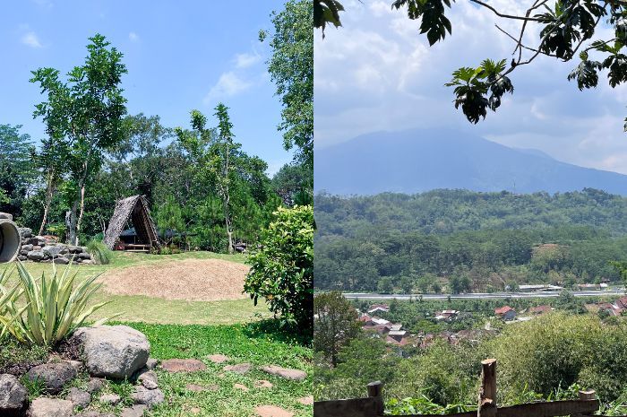 Masih Asri dan Sejuk, Pinusia Park Jadi Destinasi yang Cocok untuk Liburan Natal Tahun Baru di Semarang