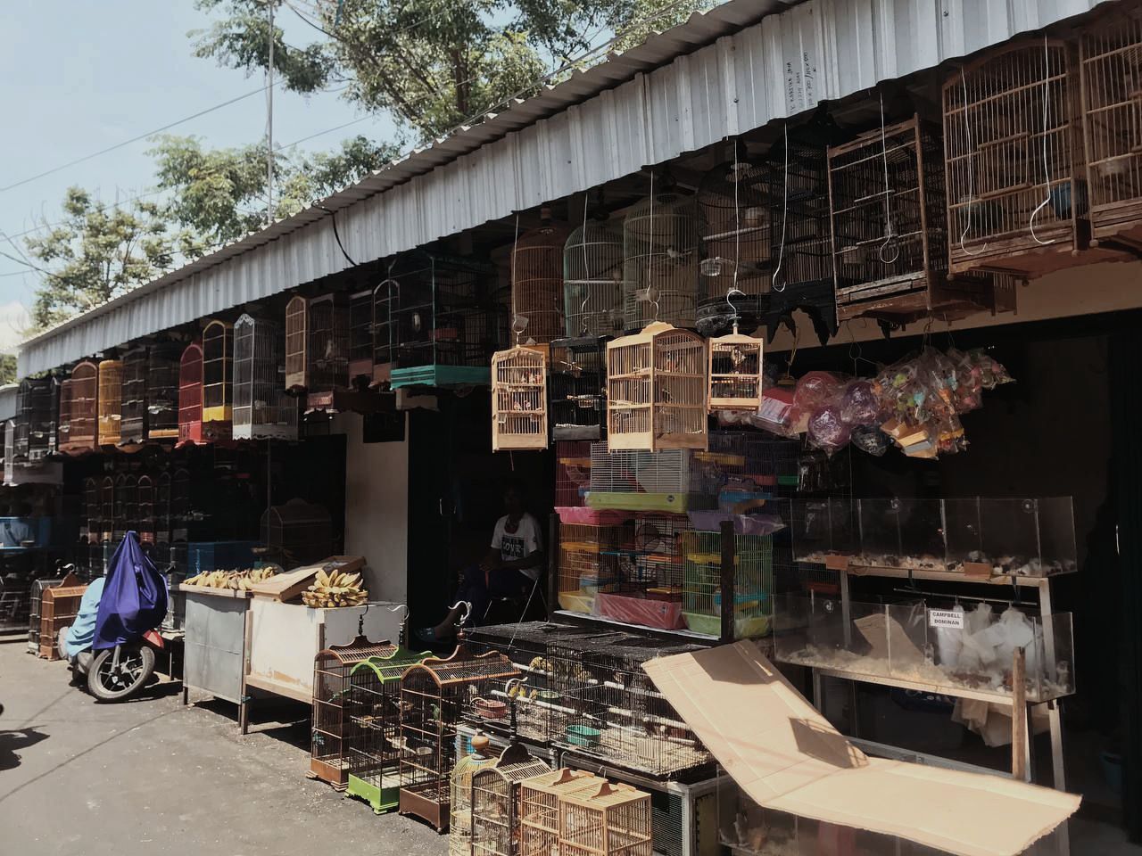 Mengulik Pesona Keunikan Pasar Spelindid Kota Malang, Cocok Buat yang Suka Berkebun dan Pelihara Hewan