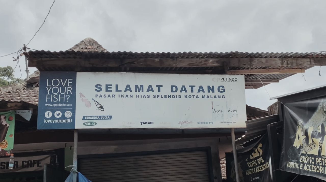 4 Rekomendasi Pasar di Malang yang Terkenal Murah