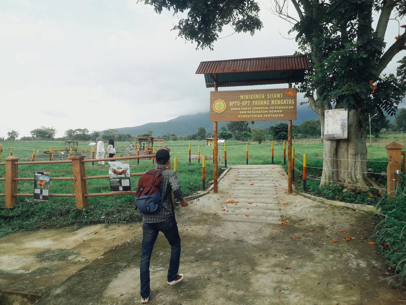 Pesona Mini Ranch Sijawi Padang Mengatas, Wajah Baru New Zealand-nya Sumbar