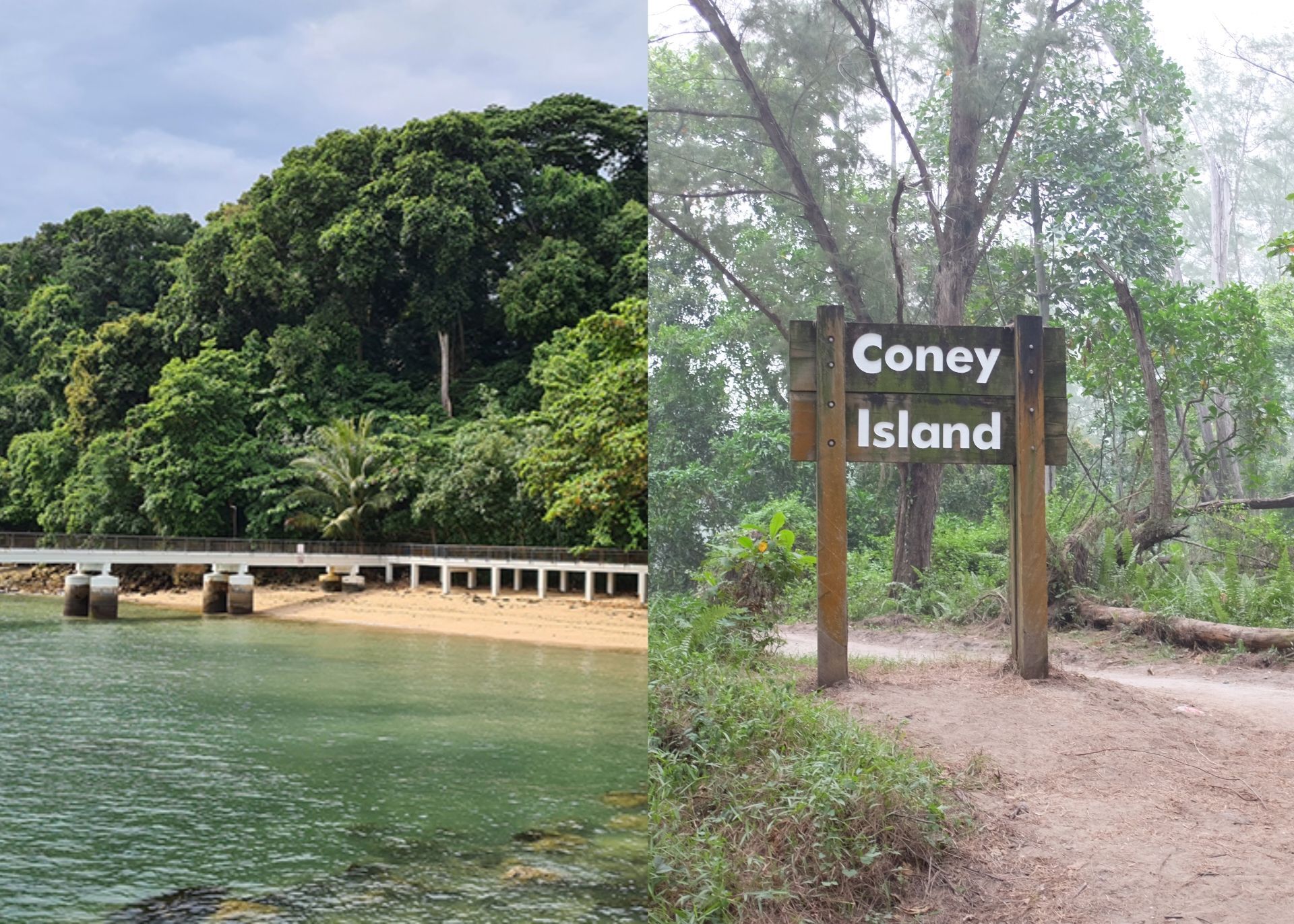 3 Rekomendasi Wisata 'Hidden Gem' Singapura, Pecinta Satwa Burung Merapat!