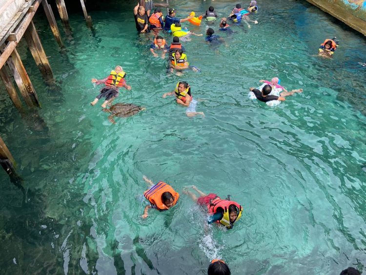Polemik Wisata Penangkaran Penyu di Liukang Loe Bulukumba