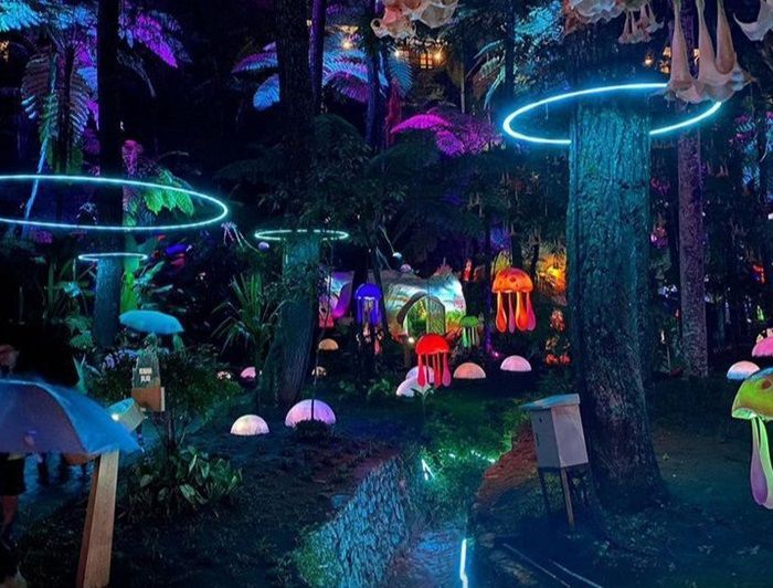 Jelajahi Keajaiban Alam di Hutan Mycelia, Destinasi Wisata Terbaru di Bandung