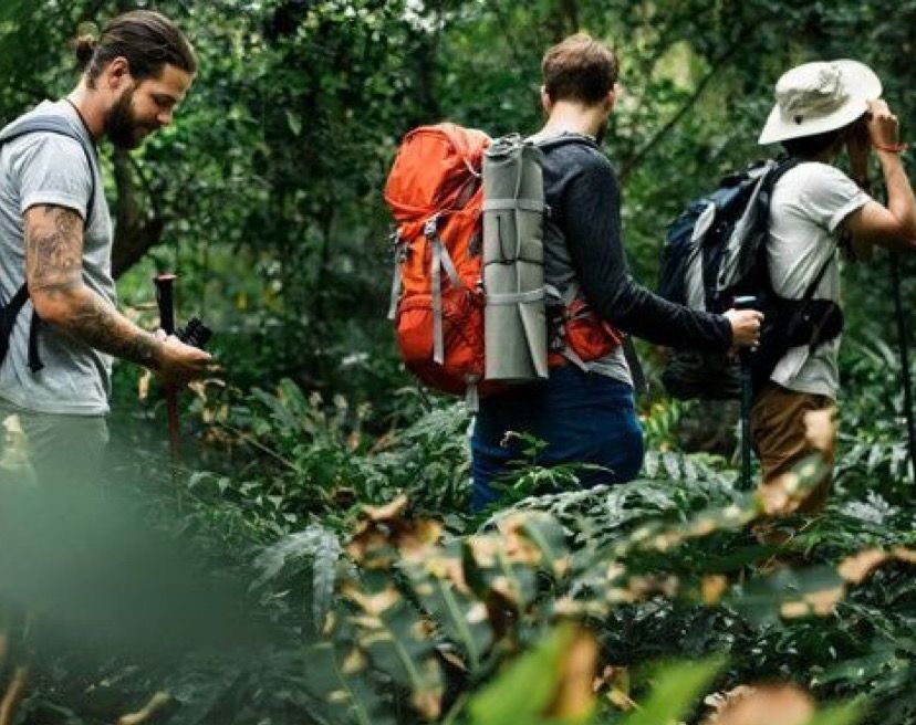 Beginilah Gunung Tanpa Pendaki, Tindakan yang Dianggap Mencerminkan Cinta Kepada Alam