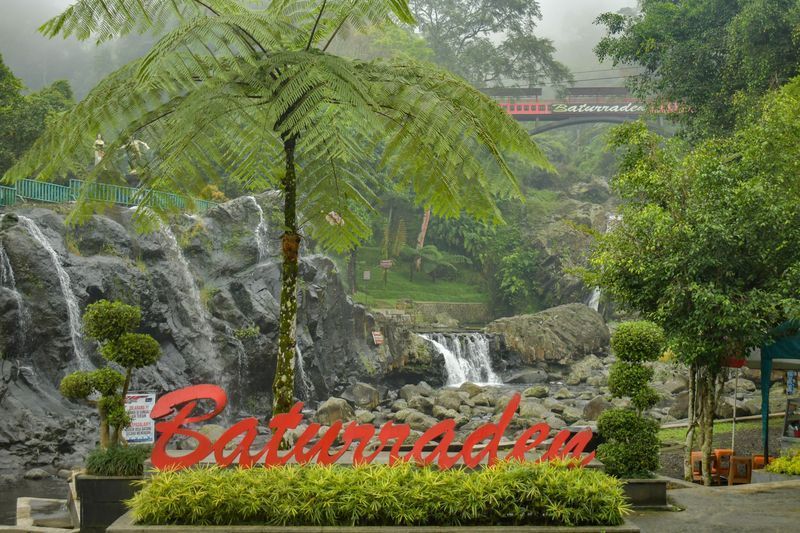 Pecinta Air Terjun Wajib Catat! Inilah Rekomendasi Curug yang Bisa Kamu Kunjungi di Baturaden Banyumas