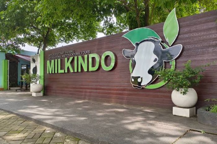 Milkindo Green Farm, Tempat Wisata Edukasi yang Menyenangkan di Malang