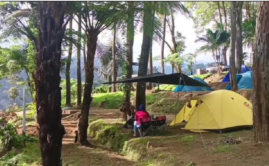 Benjor Pine Camping Ground, Wisata Hidden Gem Malang yang Bikin Betah Pengunjung Hanya 10K
