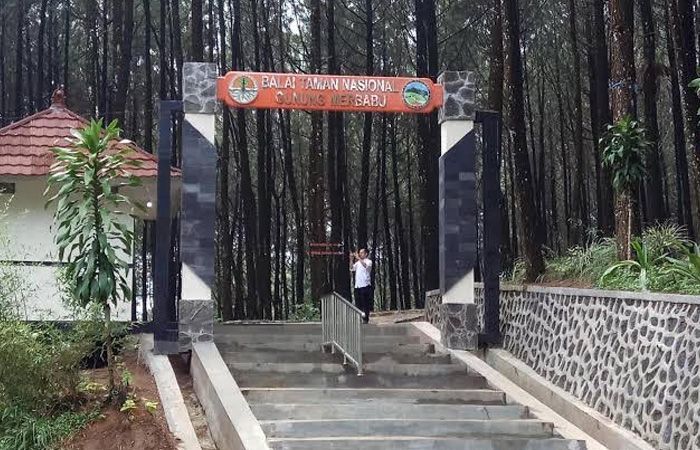 Pesona Kalipasang: Keindahan Tersembunyi di Kaki Gunung Merbabu